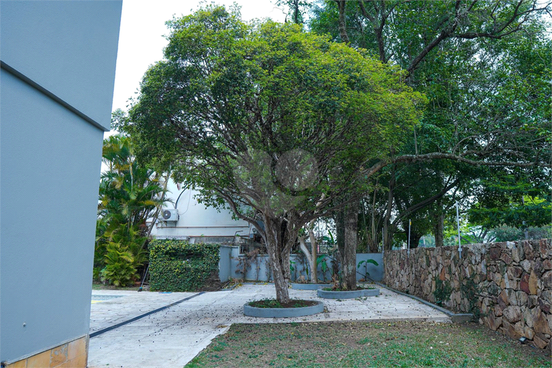 Foto REO1118920