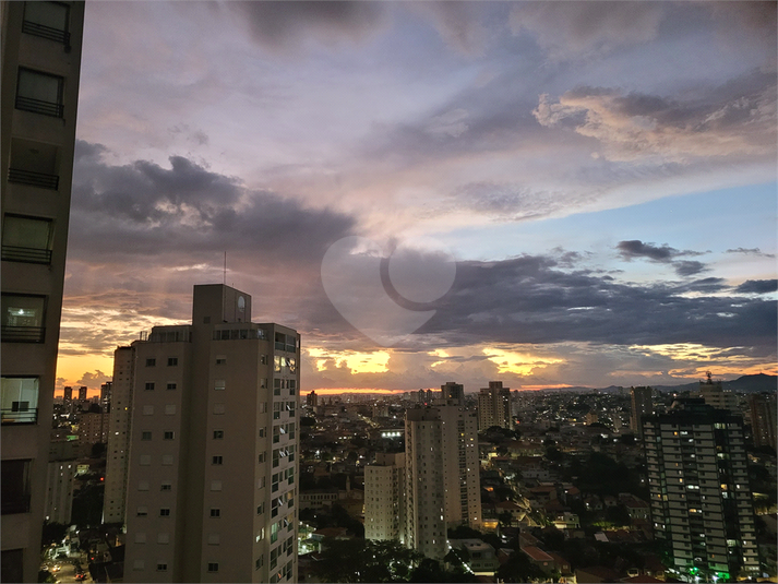 Foto REO1118939