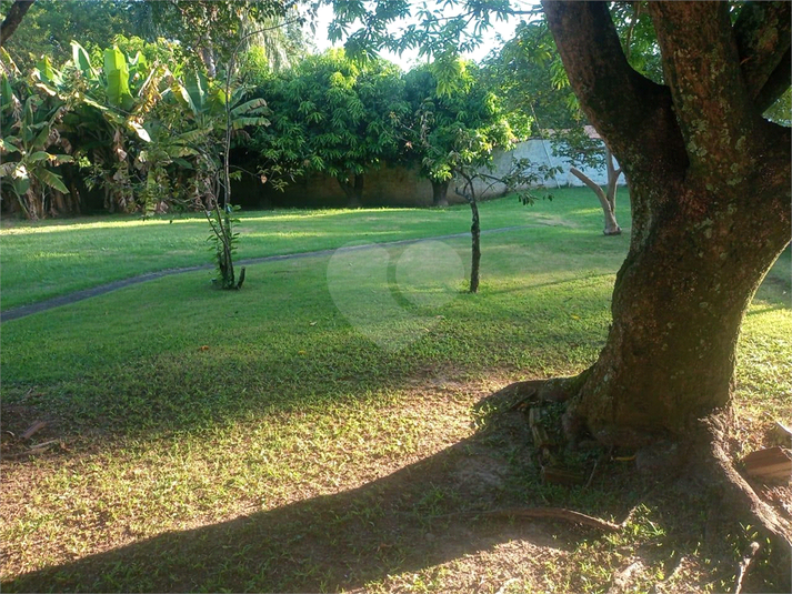 Foto REO1118959