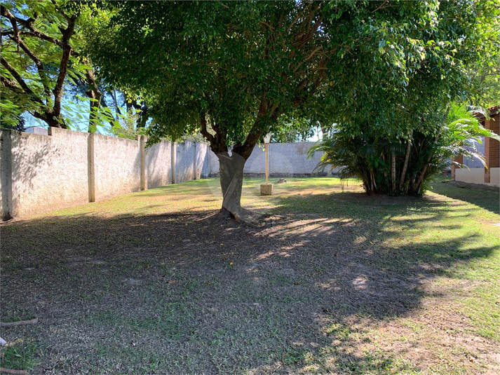Foto REO1118959