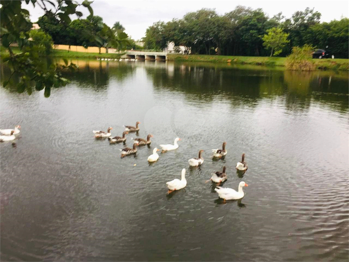 Foto REO1118959