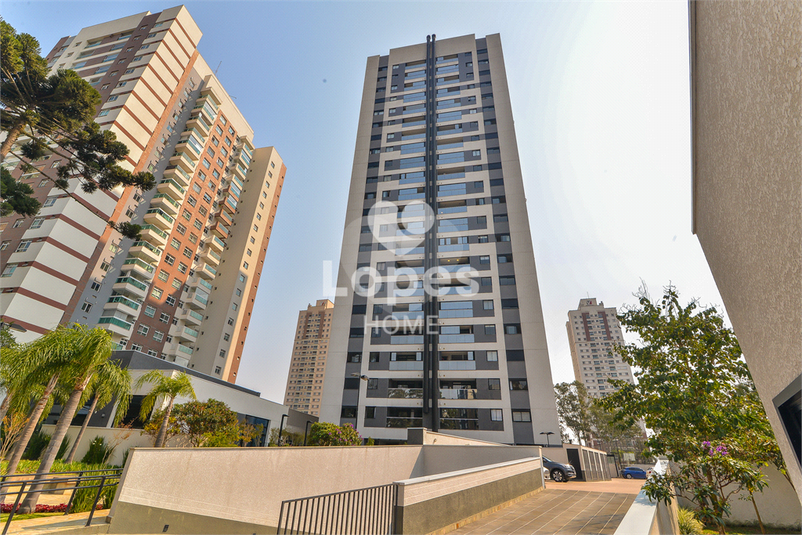 Foto REO1118969