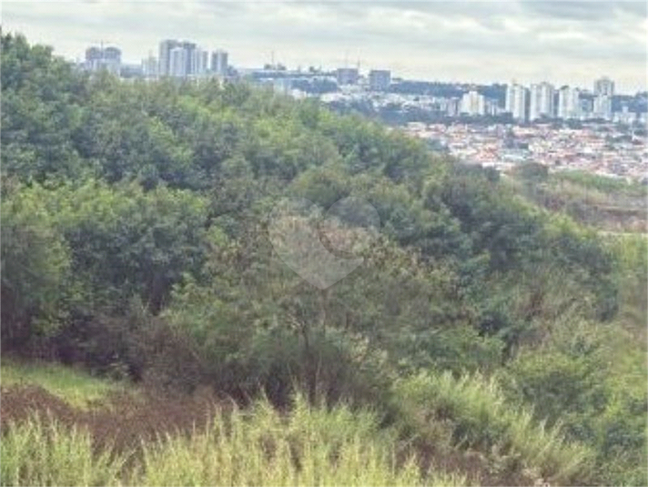 Foto REO1118989