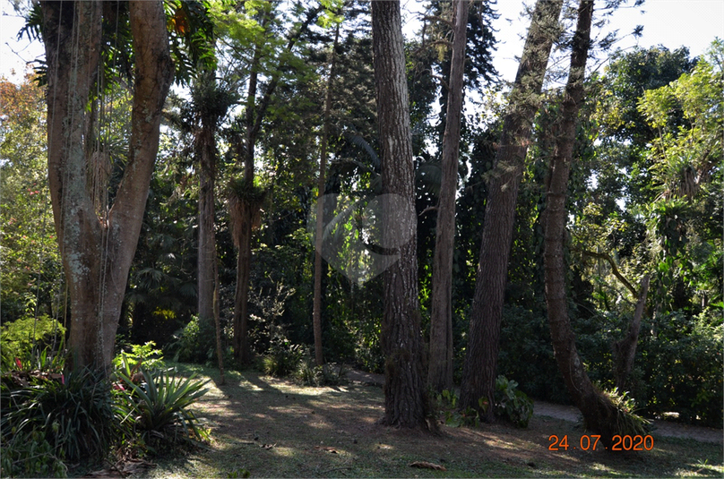 Foto REO1118993