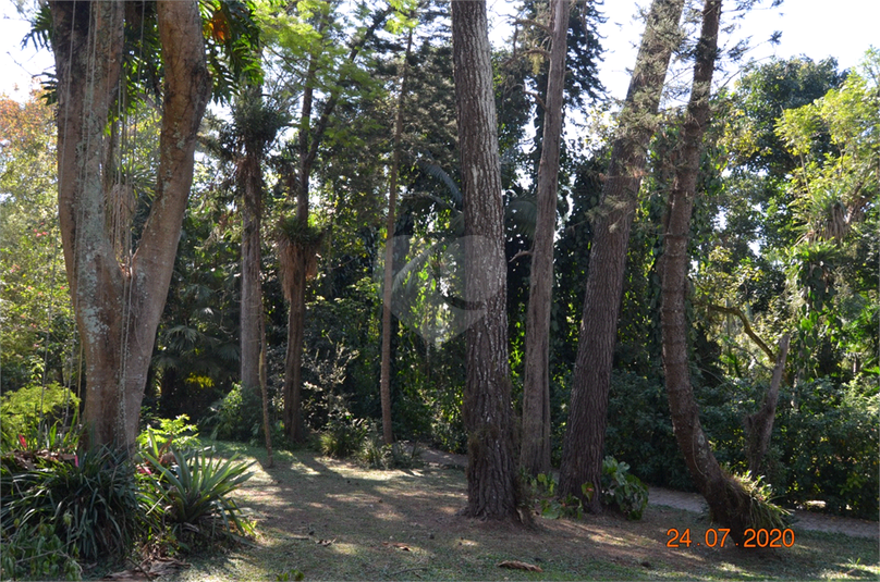 Foto REO1118993