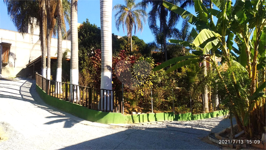Foto REO1119003