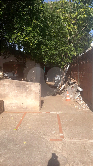 Foto REO1119018