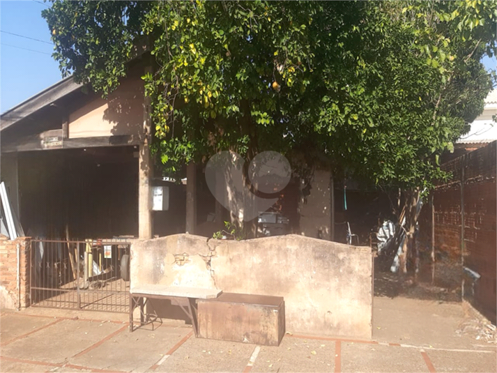 Foto REO1119018