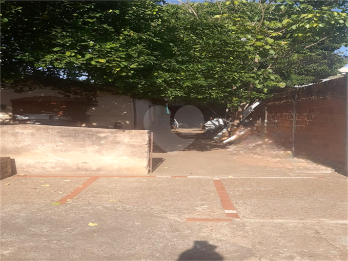 Foto REO1119018