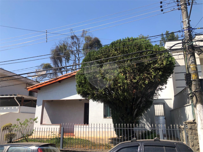 Foto REO1119024
