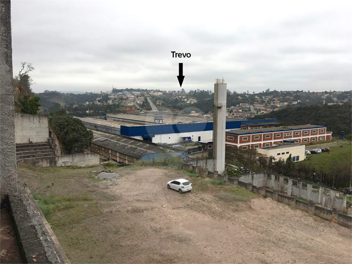 Foto REO1119034