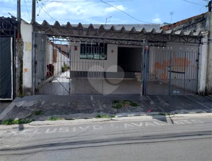 Foto REO1119042