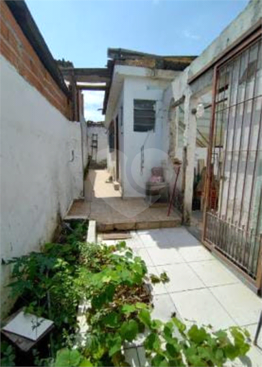 Foto REO1119042