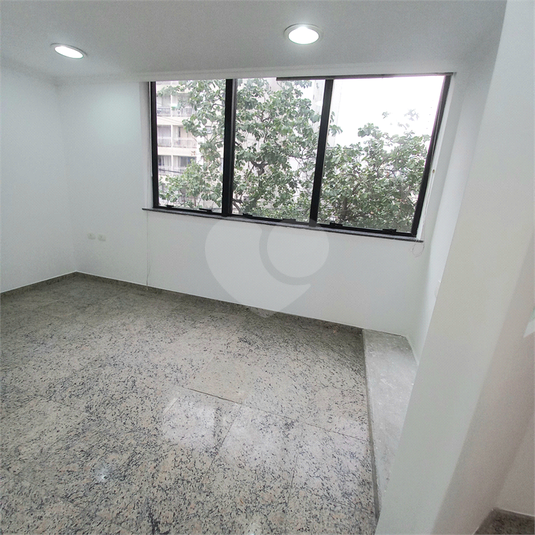 Foto REO1119048