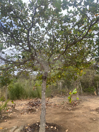Foto REO1119066