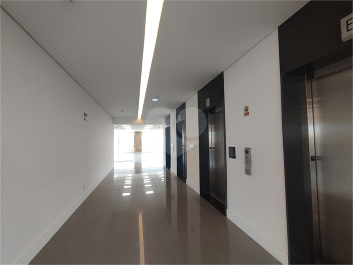 Foto REO1119068