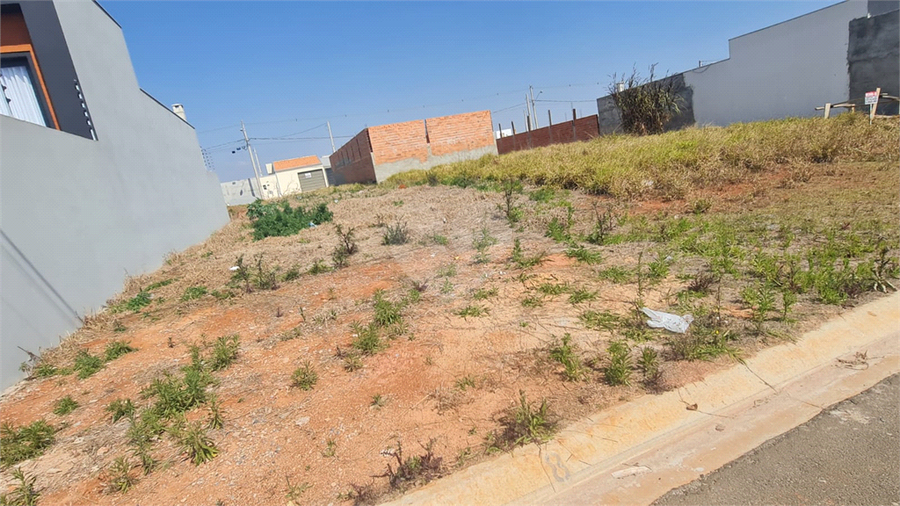Foto REO1119072