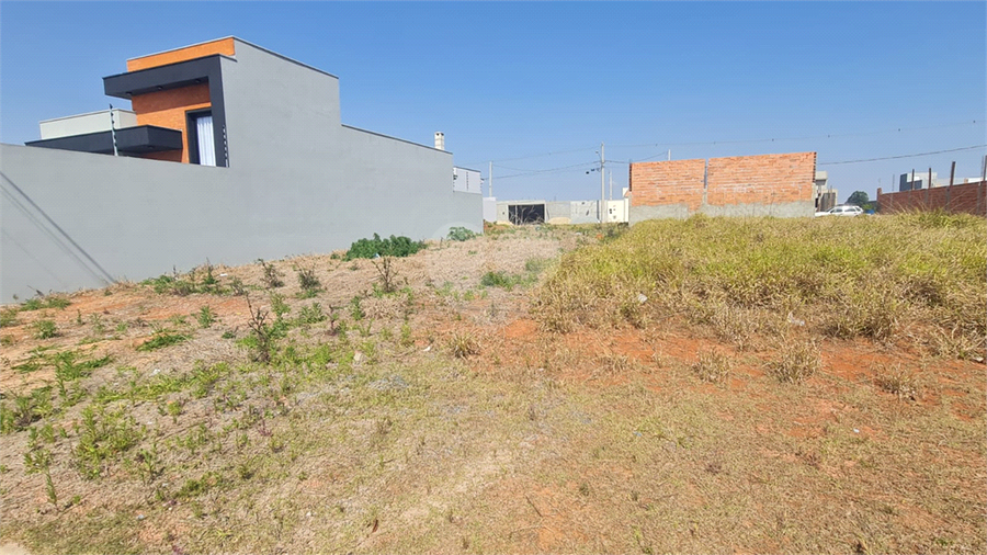 Foto REO1119072