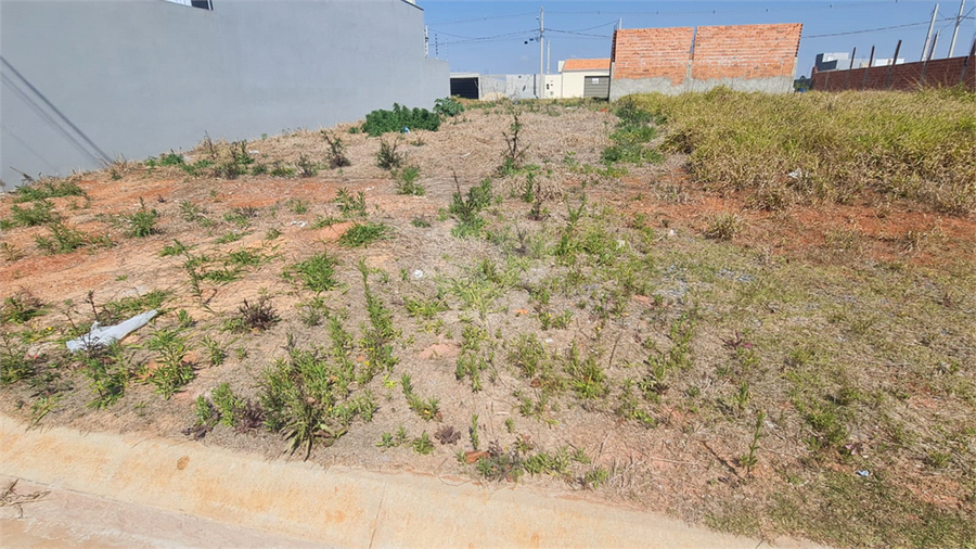 Foto REO1119072