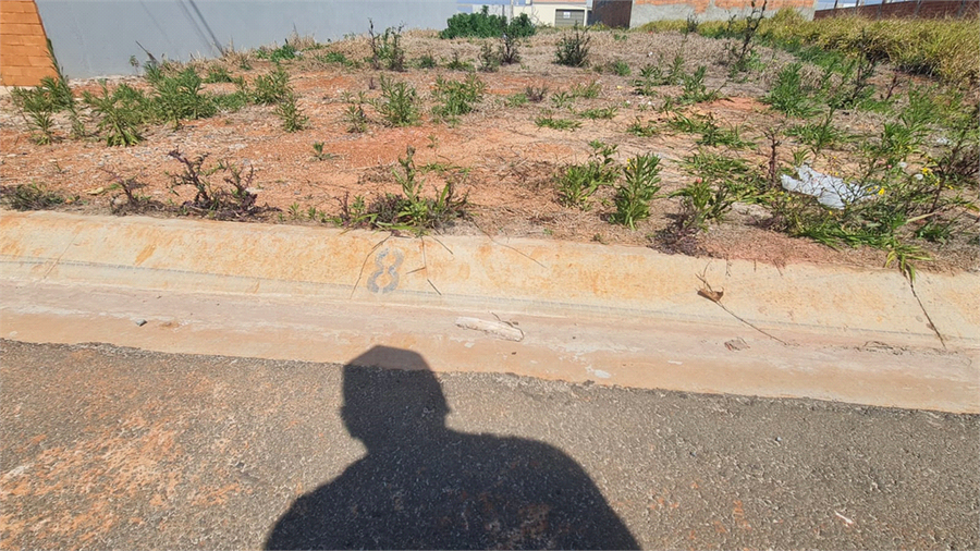 Foto REO1119072