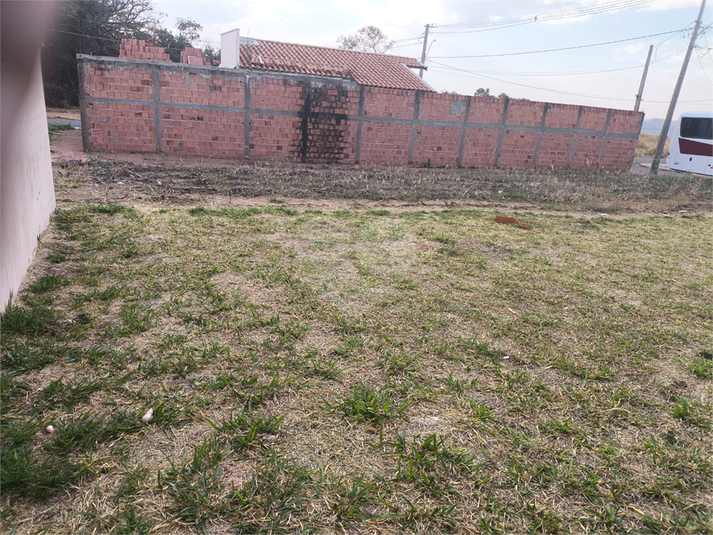 Foto REO1119082
