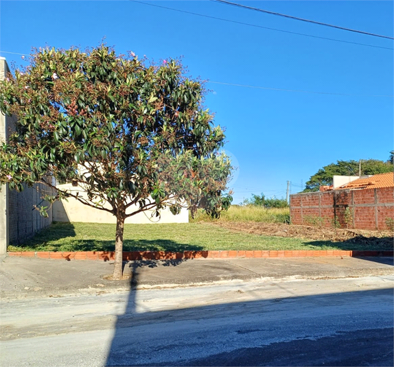 Foto REO1119082