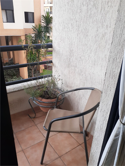 Foto REO1119083