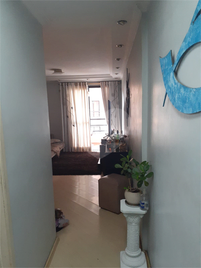 Foto REO1119083