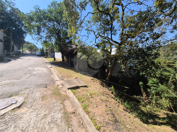 Foto REO1119091