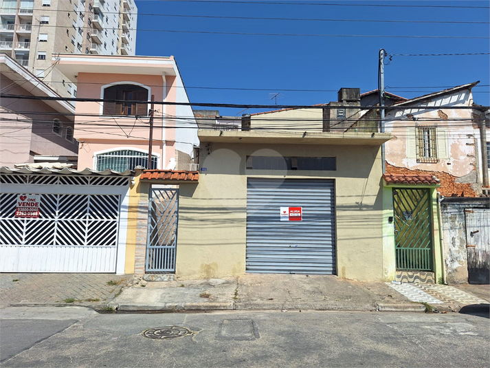 Foto REO1119095