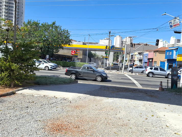 Foto REO1119107