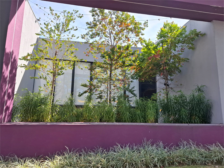 Foto REO1119107