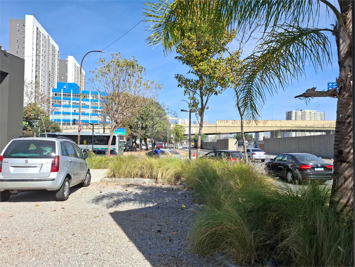 Foto REO1119107