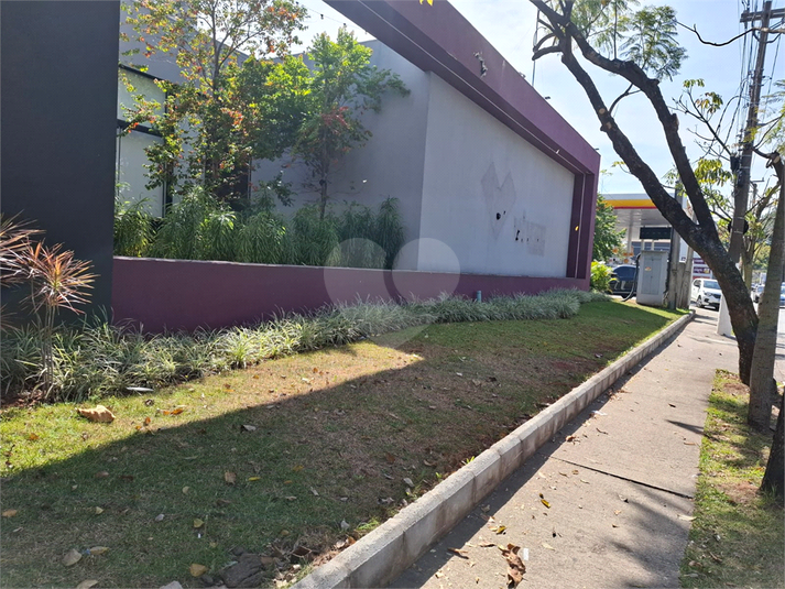 Foto REO1119107