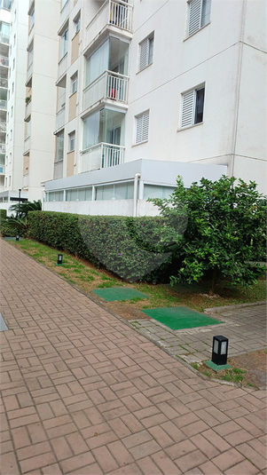 Foto REO1119109