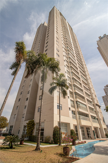Foto REO1119115