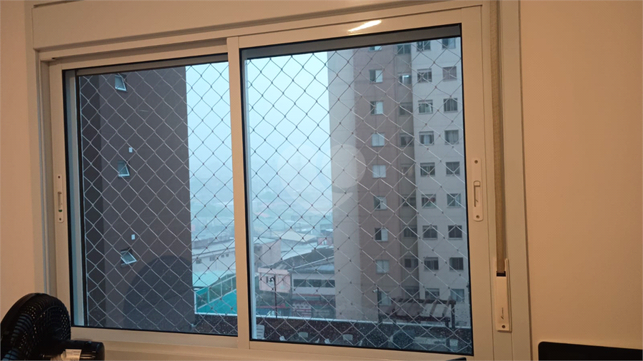 Foto REO1119117
