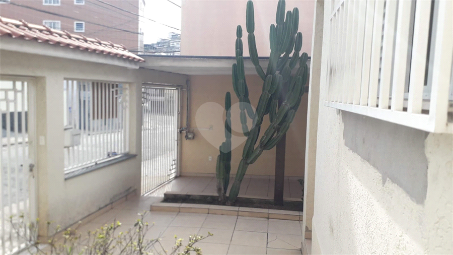 Foto REO1119131