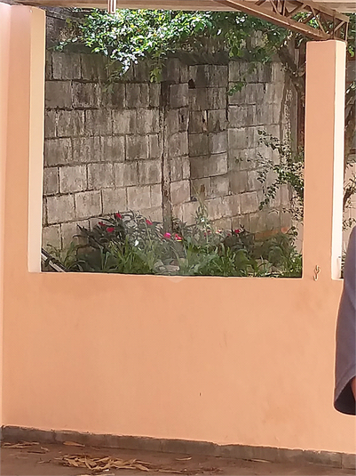Foto REO1119148