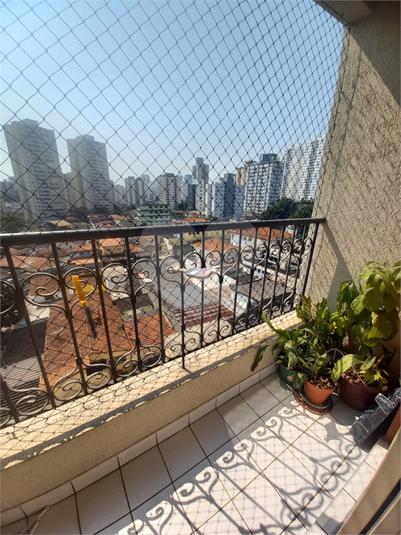 Foto REO1119150