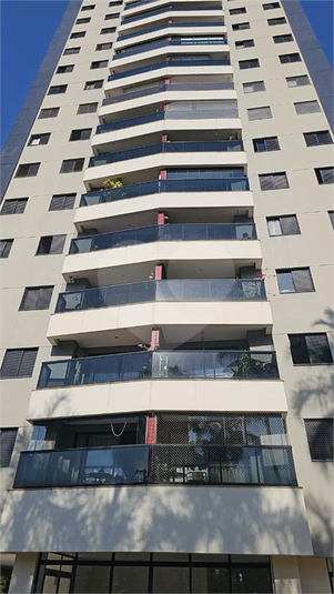 Foto REO1119152