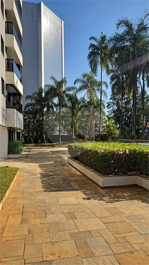 Foto REO1119152