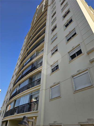 Foto REO1119153