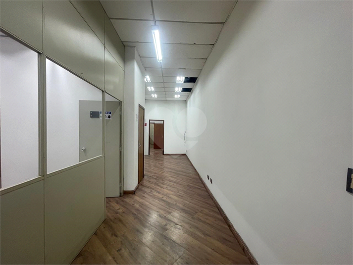 Foto REO1119154