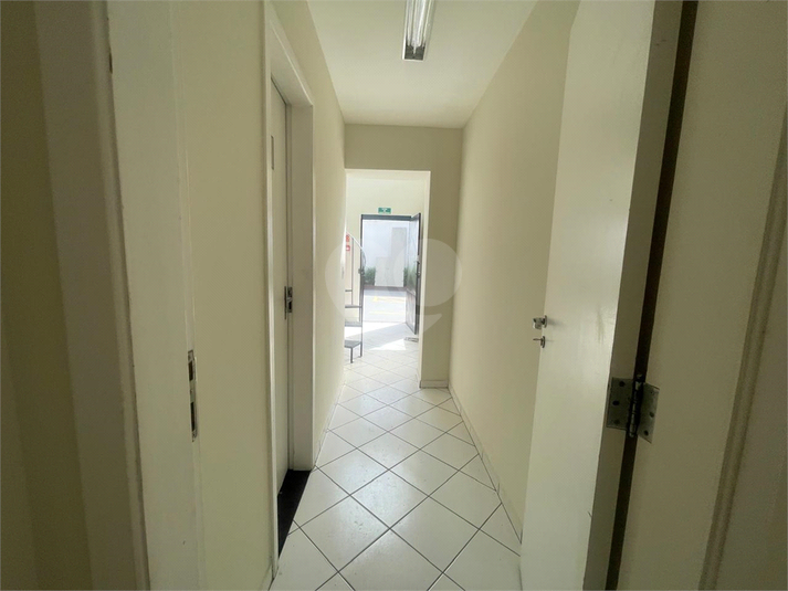 Foto REO1119154