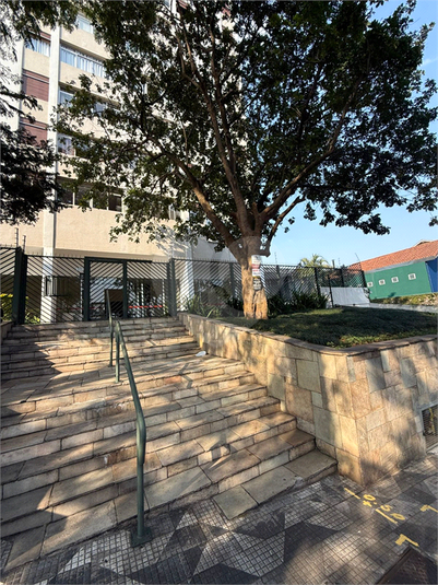 Foto REO1119156