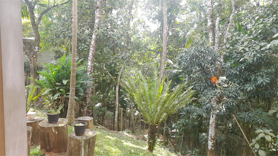 Foto REO1119170