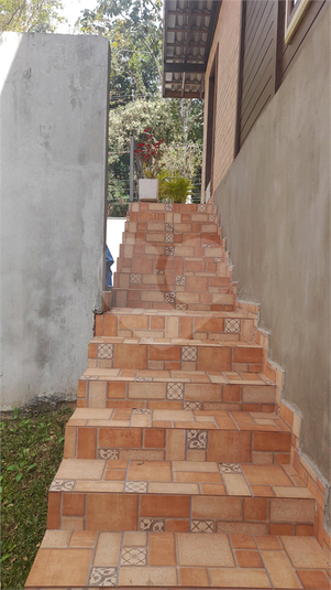 Foto REO1119170