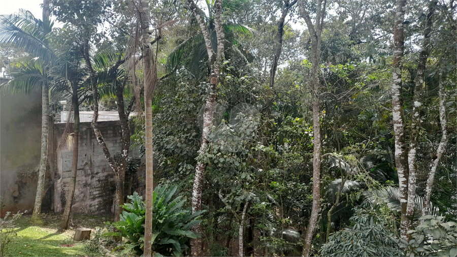 Foto REO1119170
