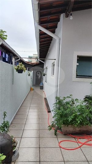 Foto REO1119171